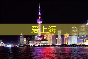 上海品茶网：参加上海的文化交流项目